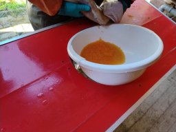 Forellenabstreifen 2024